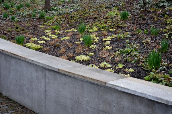 Concrete Wall Construction in Elizabethtown
