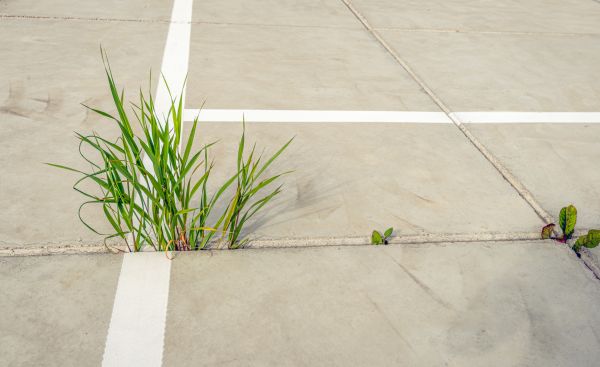 Concrete Parking Installation in Elizabethtown